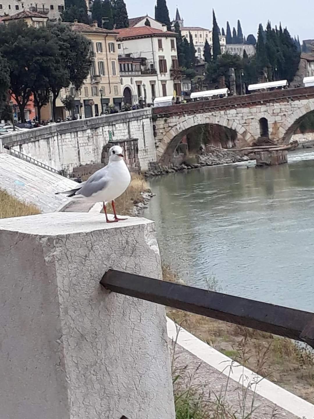 Casa Vacanza Elena Verona Eksteriør bilde